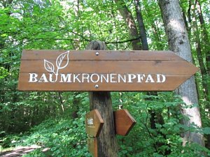 LISA auf dem Baumkronenpfad
