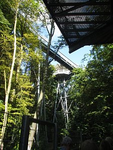 LISA auf dem Baumkronenpfad