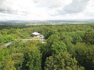 LISA auf dem Baumkronenpfad