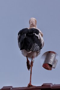 Platz f&uuml;r Nachtruhe