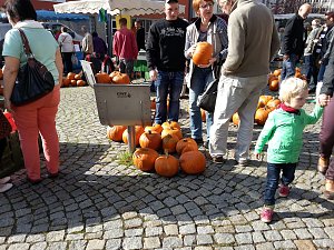 Der etwas andere Markt