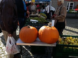 Der etwas andere Markt