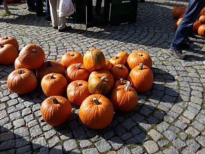 K&uuml;rbisse und Zwiebeln