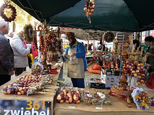K&uuml;rbisse und Zwiebeln