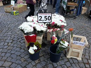 K&uuml;rbisse und Zwiebeln