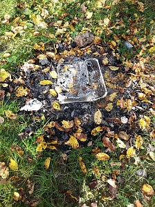 Spuren im Wald