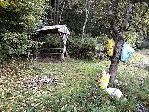 Spuren im Wald