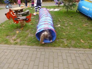 Kinder im Stra&szlig;enverkehr