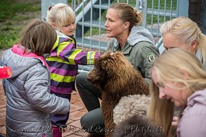 Therapiehunde unterwegs