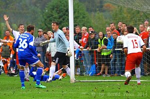 Acht Tore im Elstertal