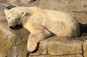 Besuch im Zoo am Meer