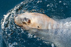 Besuch im Zoo am Meer