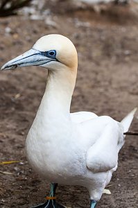 Besuch im Zoo am Meer