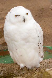 Besuch im Zoo am Meer