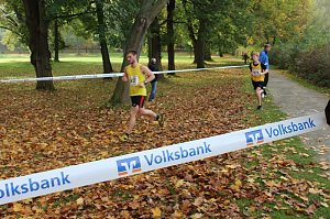 Stadtparklauf in Sondershausen