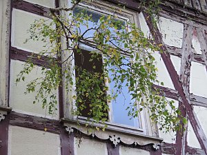 Schandflecke sollen verschwinden