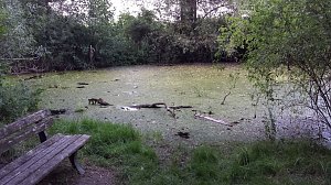 Rund um die Salza-Quelle