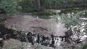 Rund um die Salza-Quelle