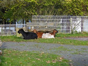 Zum Besuch im Hufhaus