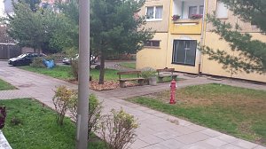 Aktionsgruppe Bleicherode wieder unterwegs