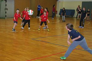 Zweifelderball in der Ballspielhalle