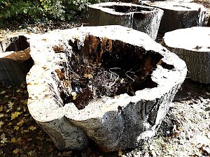 Der Rest wird entsorgt