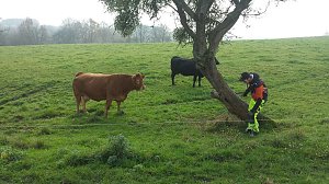 Liebenrode