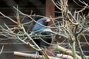 Besuch im Werniger&ouml;der Tierpark