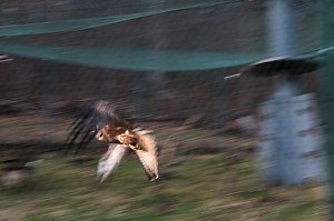 Besuch im Werniger&ouml;der Tierpark