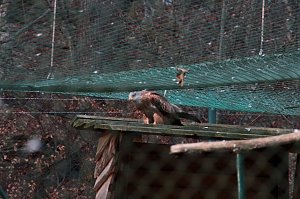 Besuch im Werniger&ouml;der Tierpark