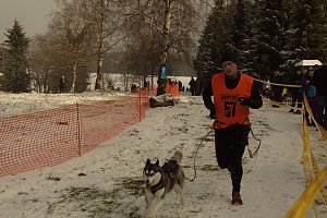 Schlittenhunderennen in Benneckenstein