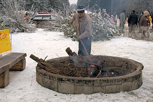 Schlittenhunderennen in Benneckenstein