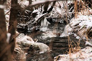 Unterwegs im Harz
