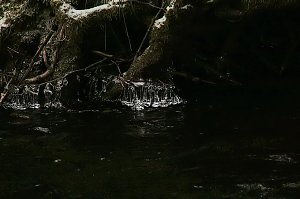 Unterwegs im Harz