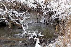 Unterwegs im Harz