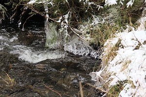Unterwegs im Harz