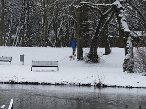 Winter im Park