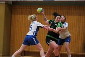 Handball-Wochenende