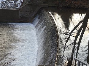 Mit dem Teleobjektiv im Stadtpark