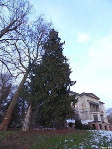 Park Hohenrode