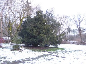 Park Hohenrode
