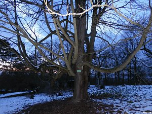 Park Hohenrode