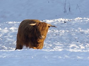 Im Harz unterwegs