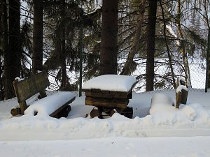 Im Harz unterwegs