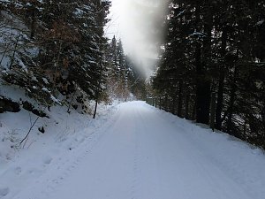 Im Harz unterwegs