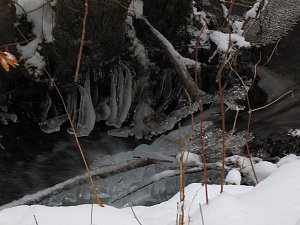 Im Harz unterwegs