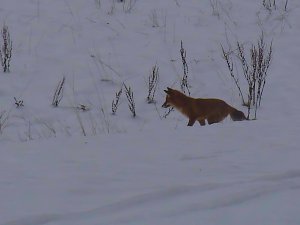 Im Harz unterwegs