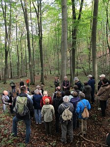 Wandern im Karst