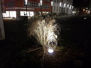 HDR-Nordhausen bei Nacht