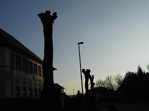 Kreative B&auml;ume